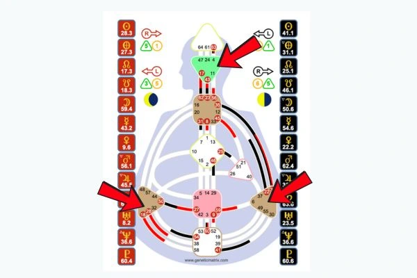 bewusstseinzentren Dein Blog für Human Design und Persönlichkeitsentwicklung