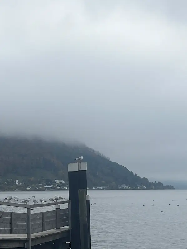 traunsee im nebel Dein Blog für Human Design und Persönlichkeitsentwicklung