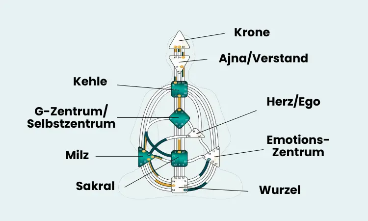 Übersicht der 9 Human Design Zentren mit Beschriftung: Krone, Ajna, Kehle, G-Zentrum, Herz, Milz, Sakral, Emotion und Wurzel
